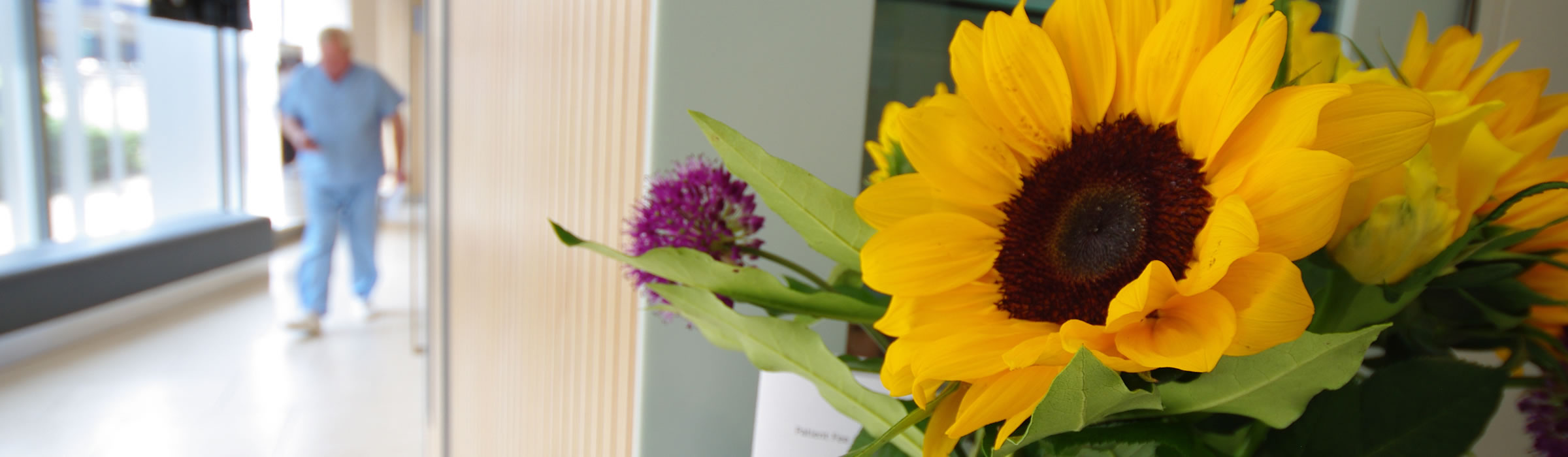 Corridor area owith flowers at Senova Dental Studios Watford dentist in Hertfordshire